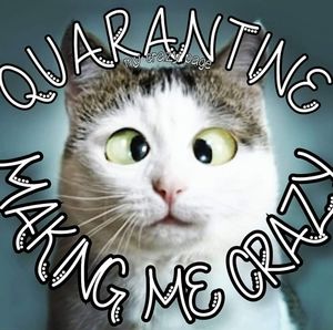 Meet your Posher, Cara